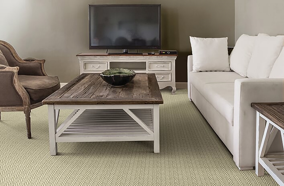 Modern Carpet Flooring: Masland Distinguished