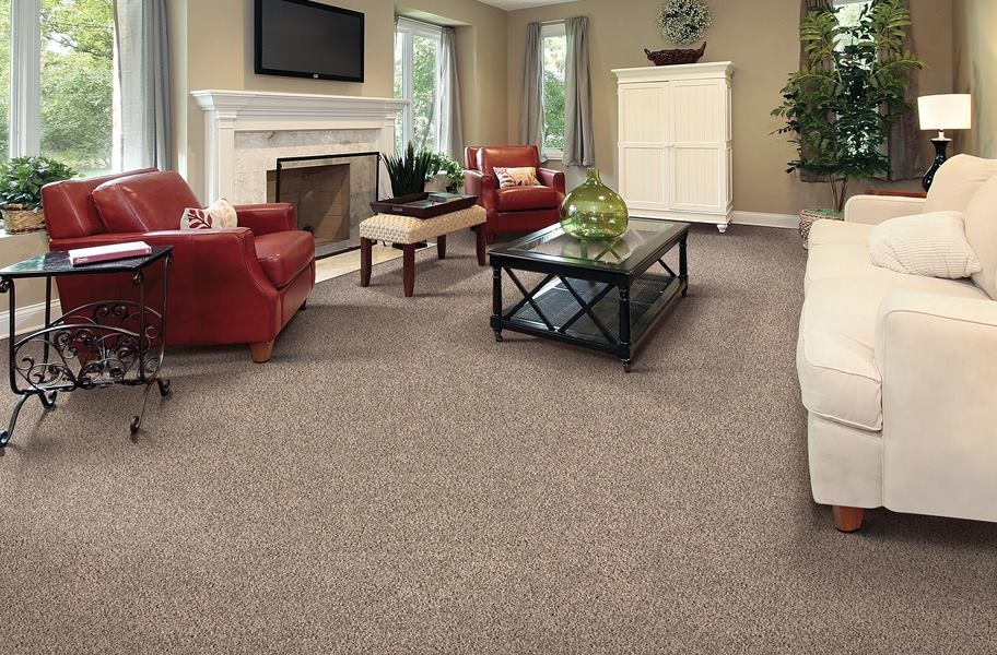 Plush frieze carpet in a living room setting